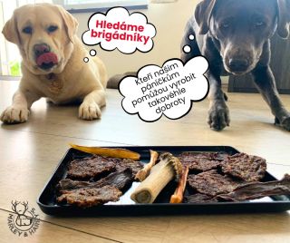 Hledáme parťáky do týmu! 🐾 Nebo spíš posily pro naše páníčky, kteří pro vás (i nás) vyrábí ty nejlepší přírodní psí...