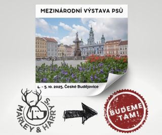 V sobotu i v neděli najdete náš stánek na Mezinárodní výstavě psů v Českých Budějovicích. Přijďte doplnit zásoby, ochutnat...