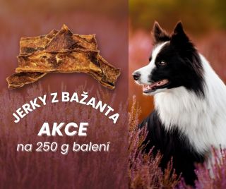 AKCE na mňamku, pro kterou 🐶 udělá cokoliv - na 250gramové balení přírodních JERKY z BAŽANTA! Chcete tu nejvyšší motivaci...