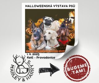 Tuto sobotu 1. 11. se chystáme na Krajskou Halloween výstavu do Kelče - Provodovic! Stavte se u našeho stánku, budeme tam...