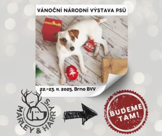 Už tento víkend (22. – 23. 11.) to vypukne! 🥳 Na Brněnském výstavišti se koná Vánoční národní výstava psů a my u toho...