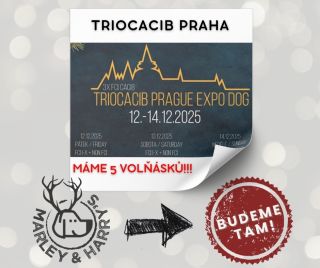 Od pátku do neděle nás najdete v Praze na TrioCacib Prague Expo Dog a ještě MÁME 5 VOLŇÁSKŮ!!! O ty se, prosím, přihlaste...